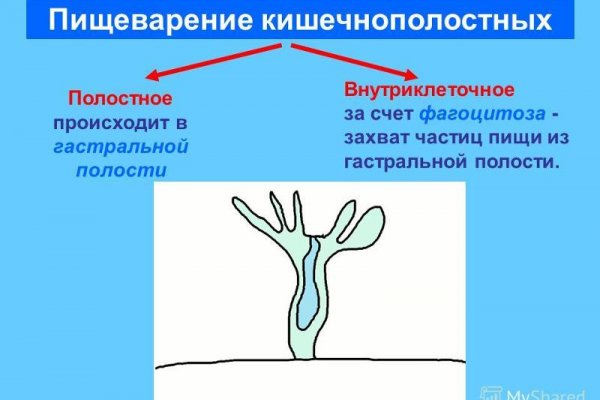 Кракен через тор