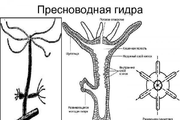 Кракен не приходят деньги