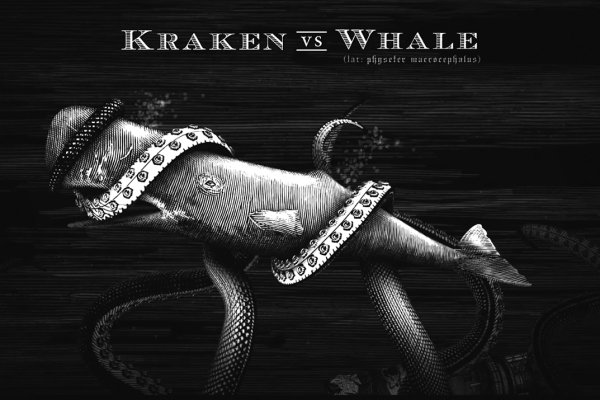 Как зайти на kraken в 2024